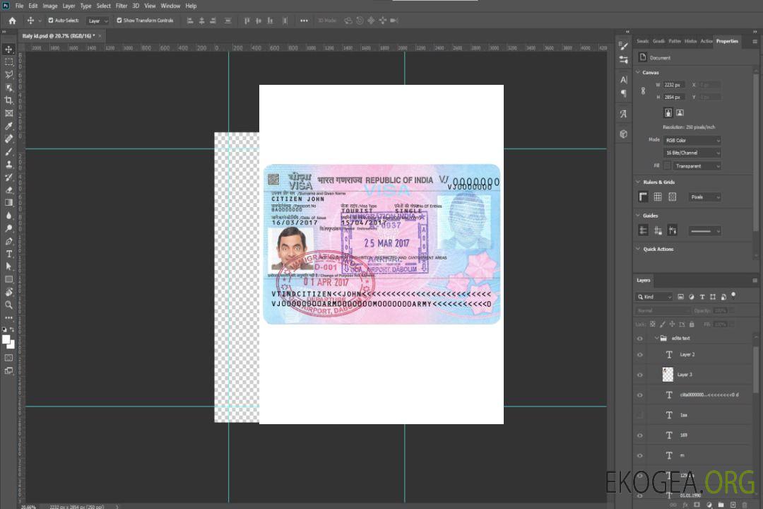 Visa de voyage INDE version 2 template Visa de voyage INDE version 2 template